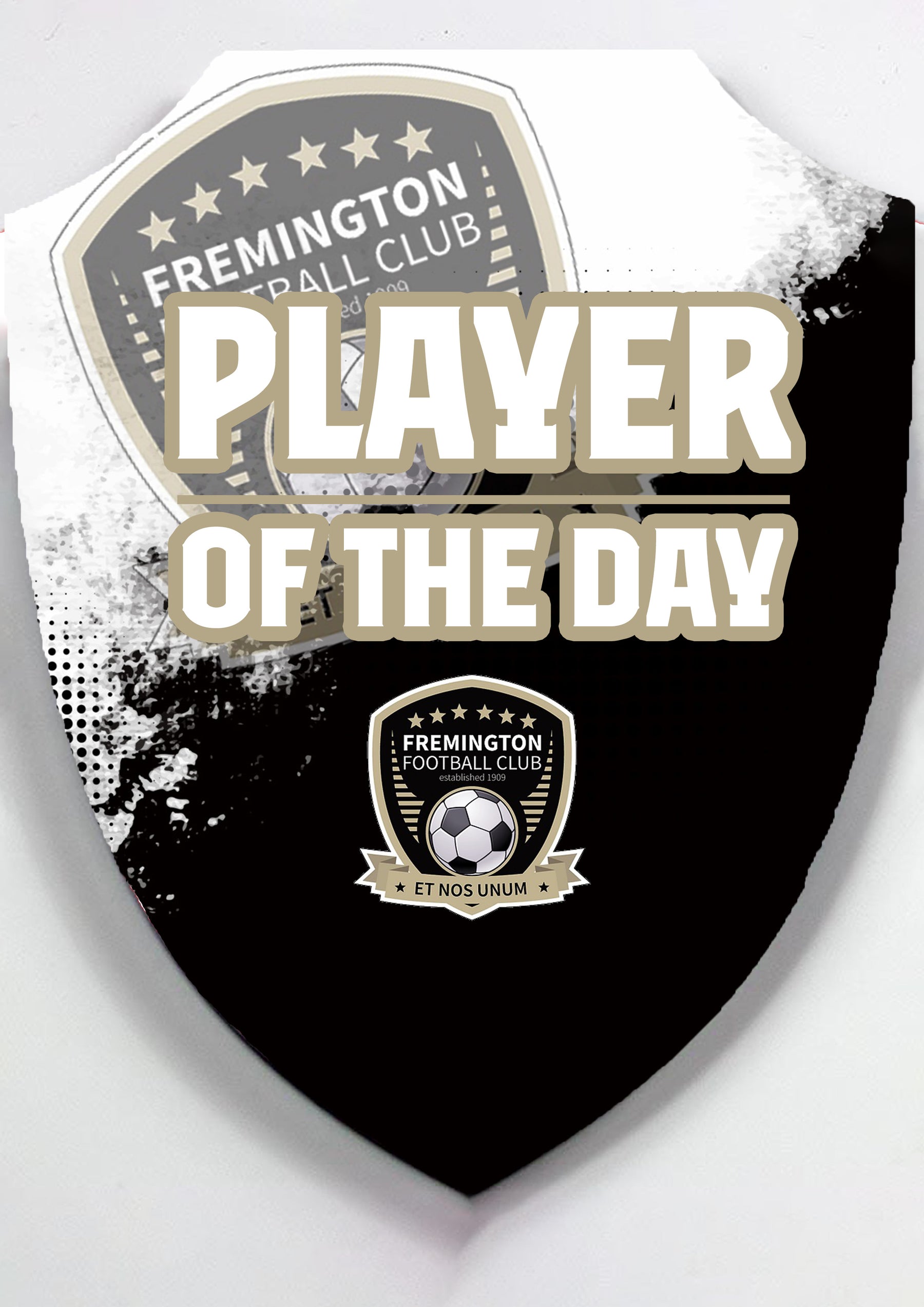 MDF Player Of The Day Shield